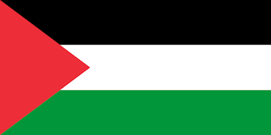 Project Palestine Logo
